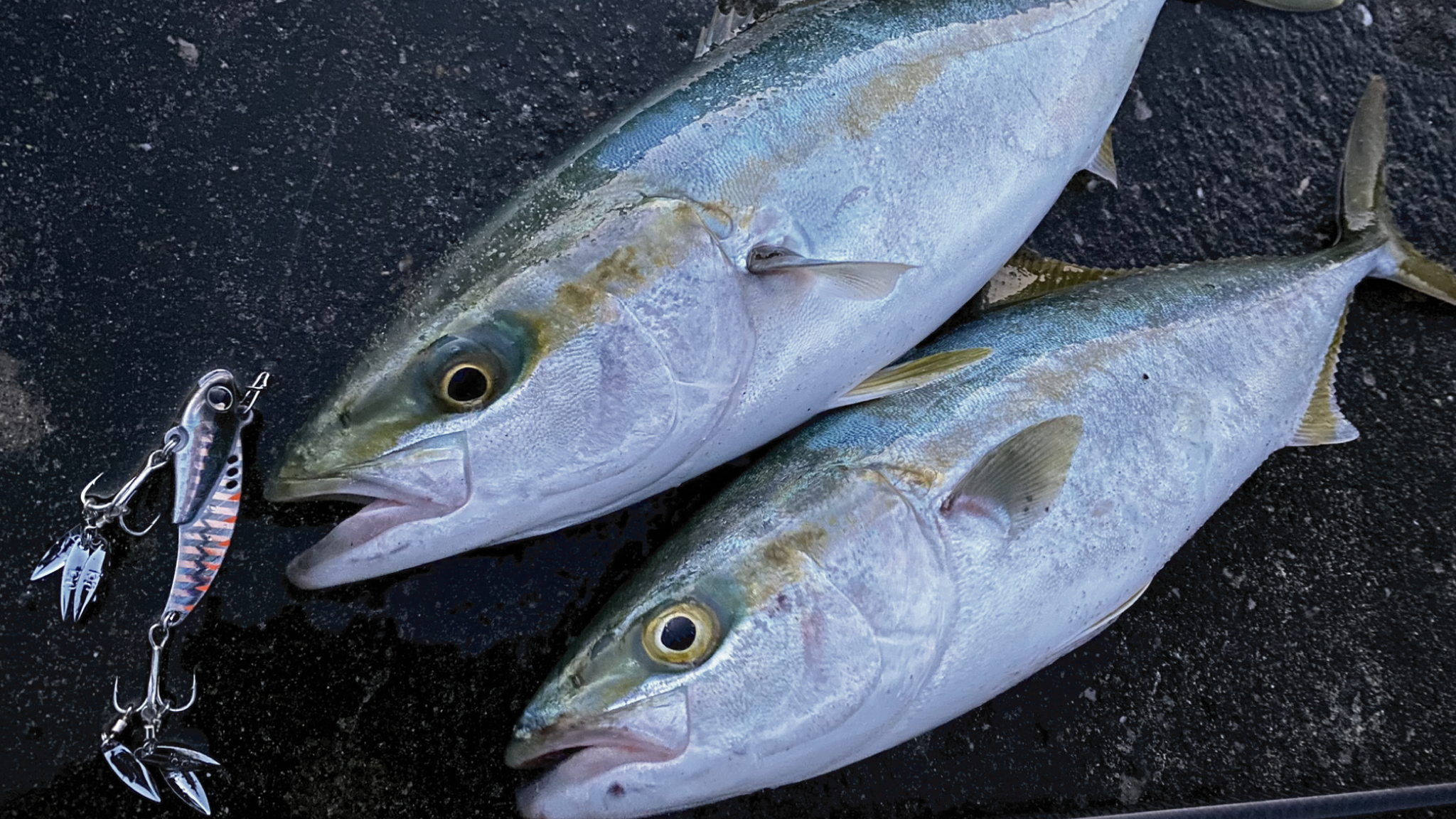 キャシーマージー